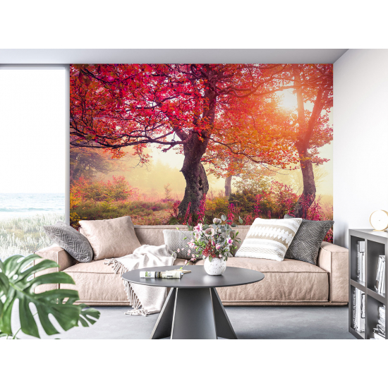 Carta da parati panoramica - Alberi Autunno