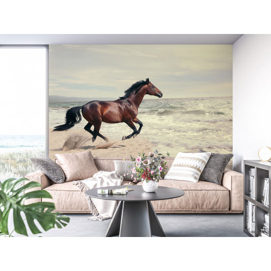 Carta da parati panoramica - Cavallo Mare