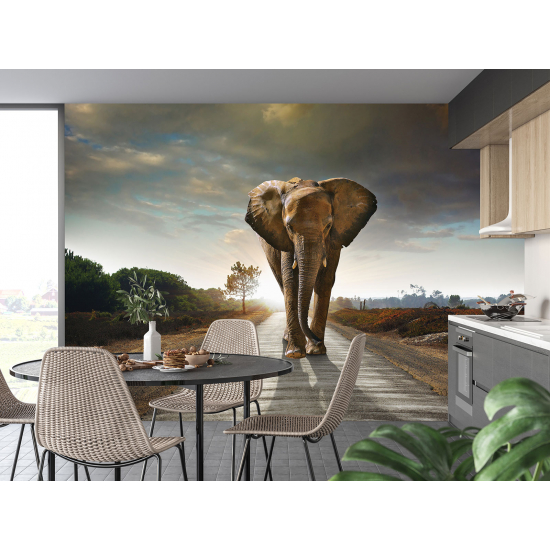 Carta da parati panoramica - Elefante