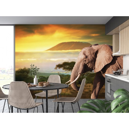 Carta da parati panoramica - Elefante
