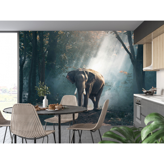 Carta da parati panoramica - Elefante