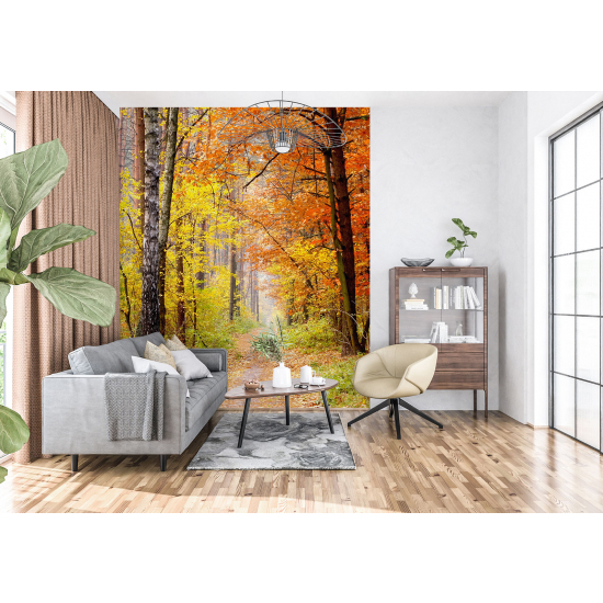 Carta da parati panoramica - Foresta Autunno