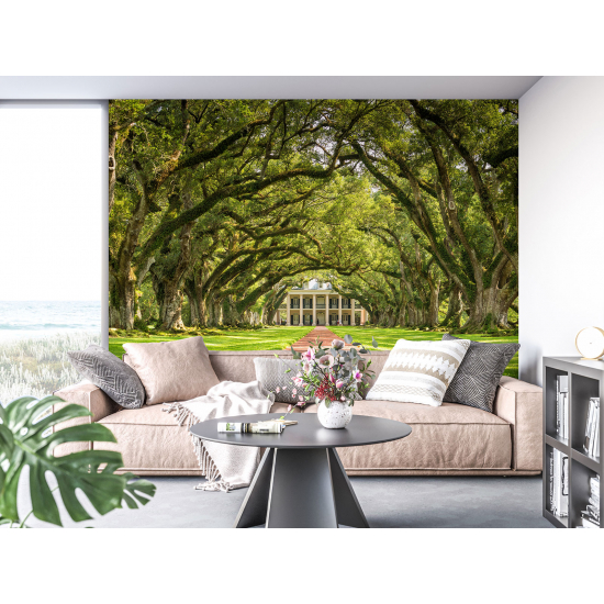 Carta da parati panoramica - Giardino Louisiana
