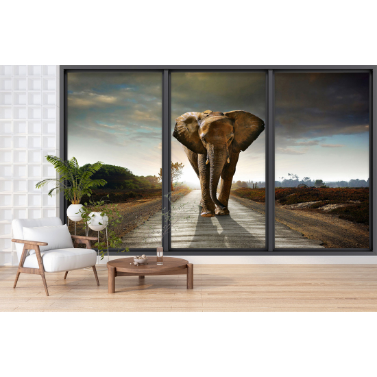 Carta da parati panoramica - Illusione ottica - Elefante