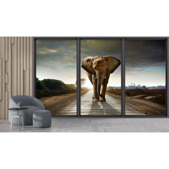 Carta da parati panoramica - Illusione ottica - Elefante