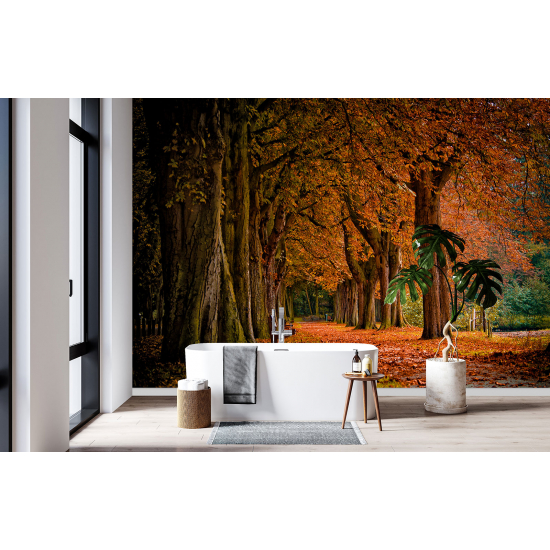 Carta da parati panoramica - Paesaggio Autunno