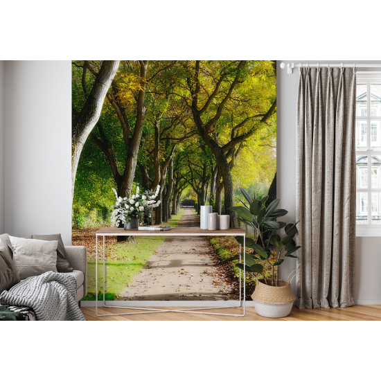 Carta da parati panoramica - Sentiero Foresta