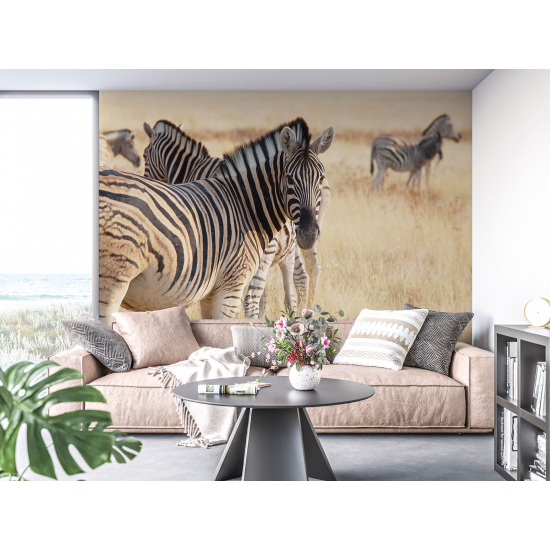 Carta da parati panoramica - Zebre