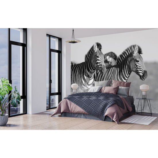Carta da parati panoramica - Zebre