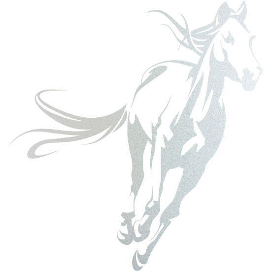 Pellicole Effetto sabbiato - Cavallo