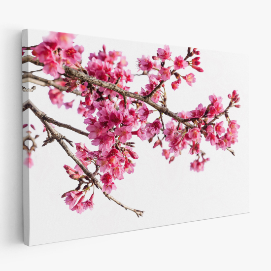 Stampa su tela - Fiori di Ciliegio
