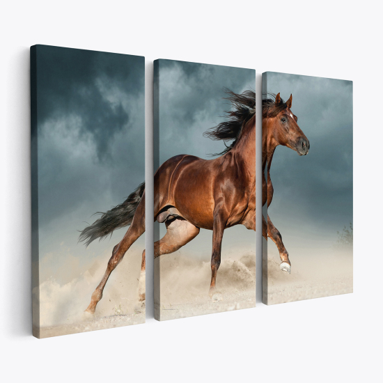 Stampa Trittico su tela - Cavallo