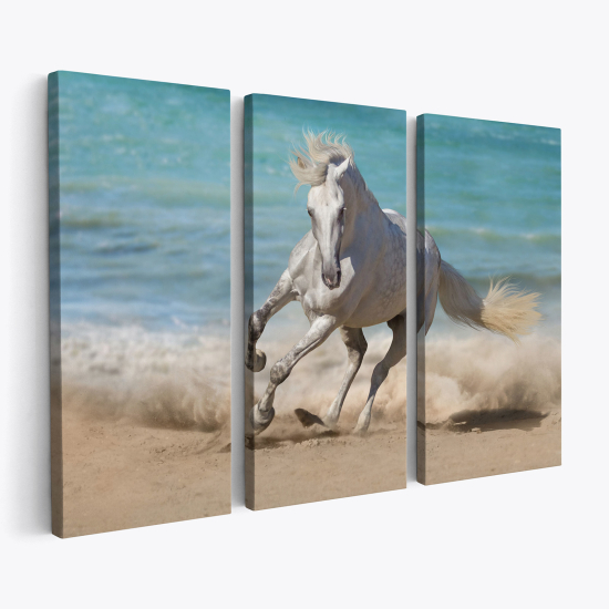 Stampa Trittico su tela - Cavallo sulla spiaggia
