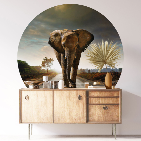 Adesivo Murale Cerchio / Rotondo - Elefante