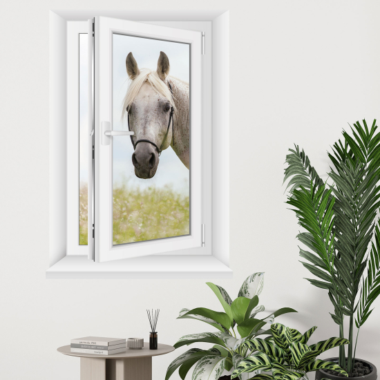 Adesivo Murale - Illusione ottica - Finestra - Cavallo