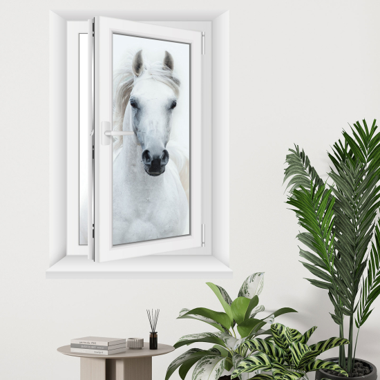 Adesivo Murale - Illusione ottica - Finestra - Cavallo