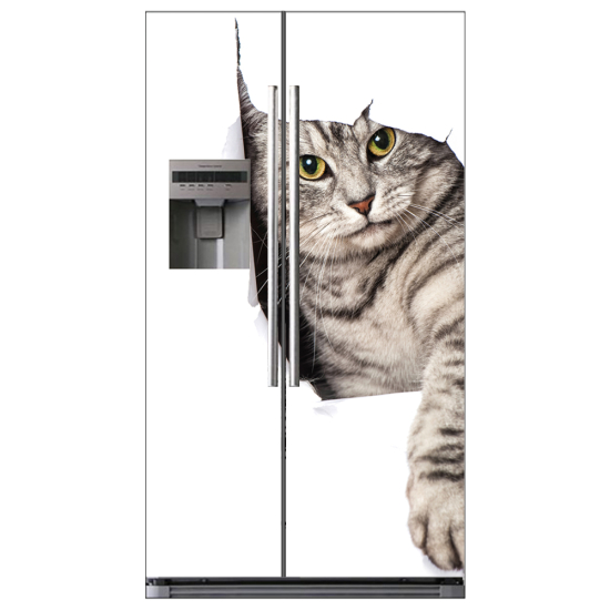 Adesivo per frigo americano - Chat
