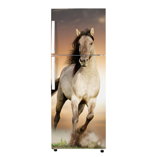 Adesivo Per Frigo - Cavallo