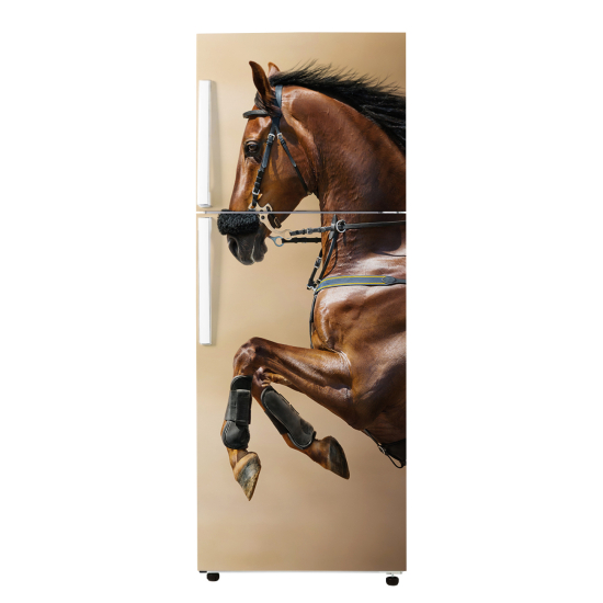 Adesivo Per Frigo - Cavallo