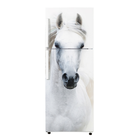 Adesivo Per Frigo - Cavallo