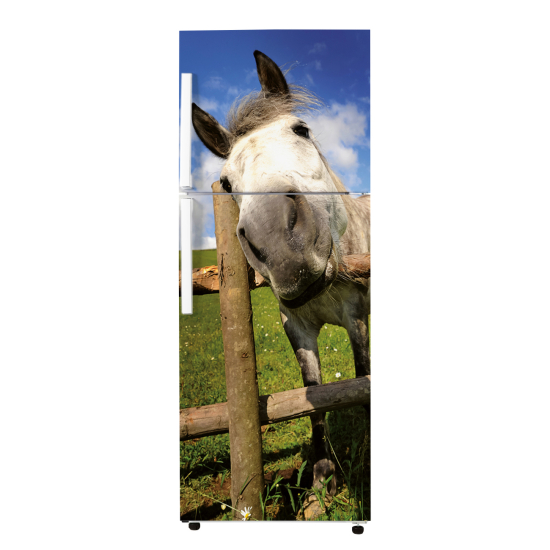 Adesivo Per Frigo - Cavallo