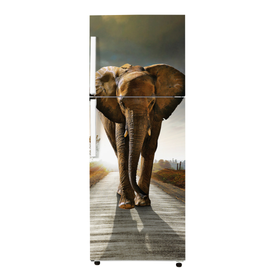 Adesivo Per Frigo - Elefante