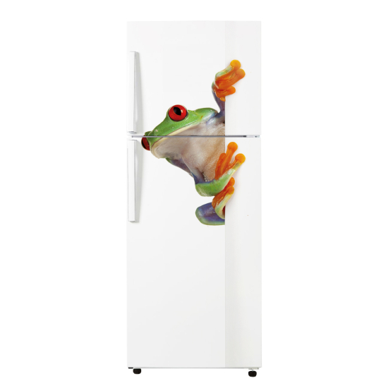 Adesivo Per Frigo - Rana