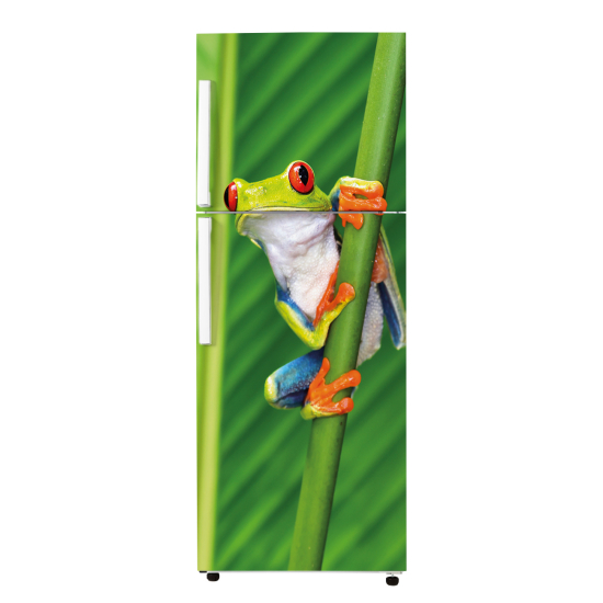 Adesivo Per Frigo - Rana