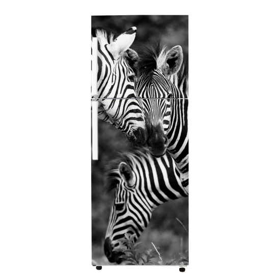 Adesivo Per Frigo - Zebre