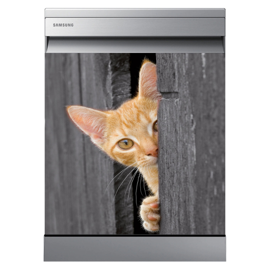 Adesivo per lavastoviglie - Chat