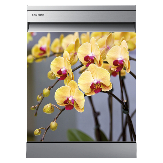 Adesivo per lavastoviglie - Orchidee