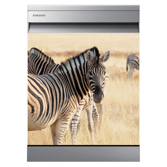 Adesivo per lavastoviglie - Zebre