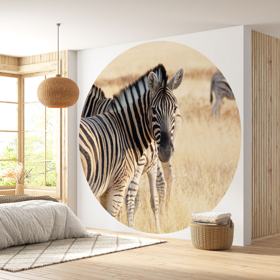 Carta da parati Cerchio / Rotondo - Zebra