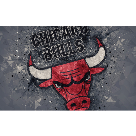 Carta da parati panoramica Basket / Pallacanestro - Chicago Bulls