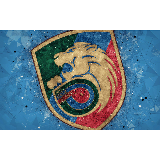 Carta da parati panoramica Calcio / Football