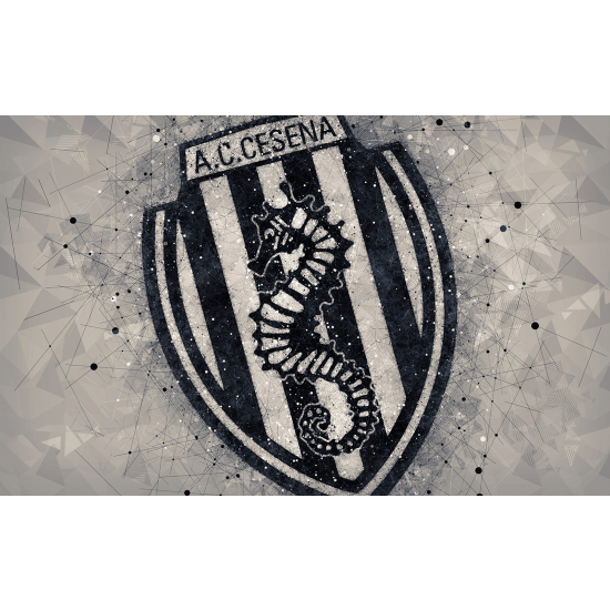 Carta da parati panoramica Calcio / Football - AC CESENA