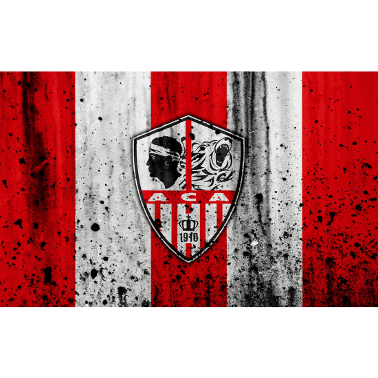 Carta da parati panoramica Calcio / Football - ACA - AC Ajaccio