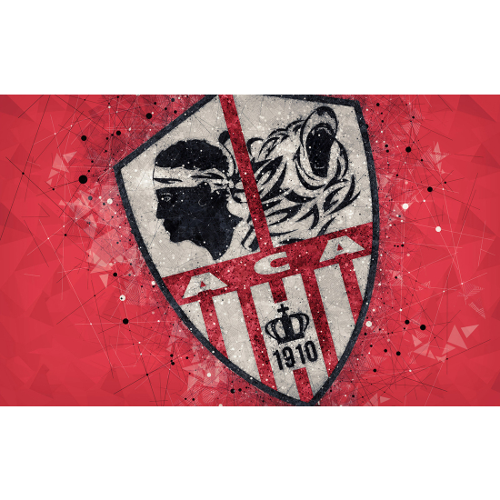 Carta da parati panoramica Calcio / Football - ACA - AC Ajaccio