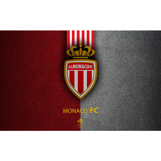 Carta da parati panoramica Calcio / Football - AS Monaco FC