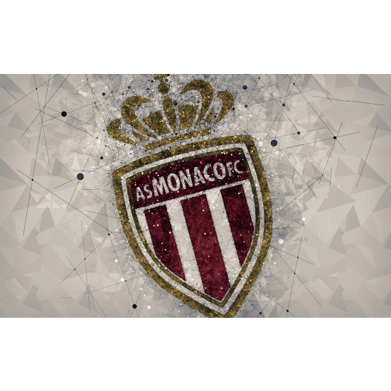 Carta da parati panoramica Calcio / Football - AS Monaco FC