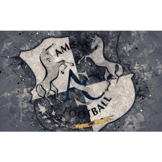 Carta da parati panoramica Calcio / Football - ASC - Amiens