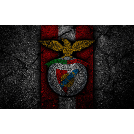 Carta da parati panoramica Calcio / Football - Benfica Lisbona