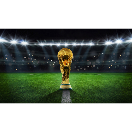 Carta da parati panoramica Calcio / Football - Coppa del Mondo