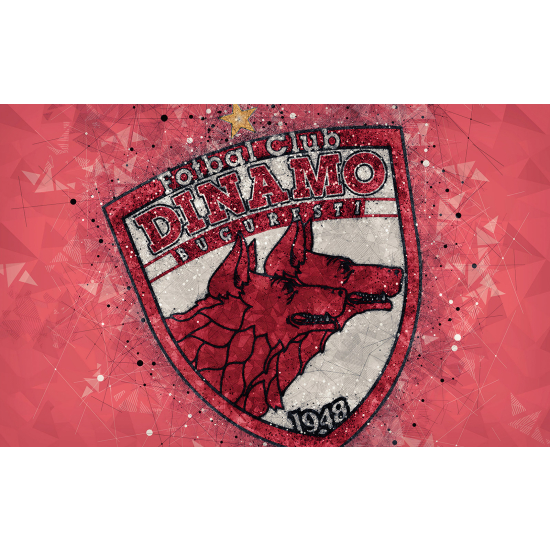 Carta da parati panoramica Calcio / Football - DINAMO