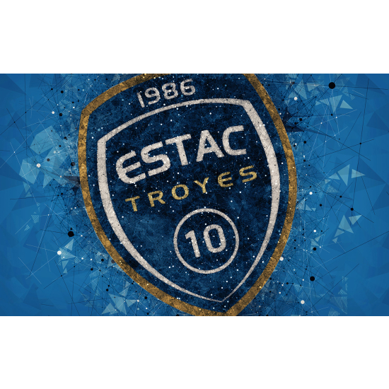 Carta da parati panoramica Calcio / Football - ESTAC - Troyes