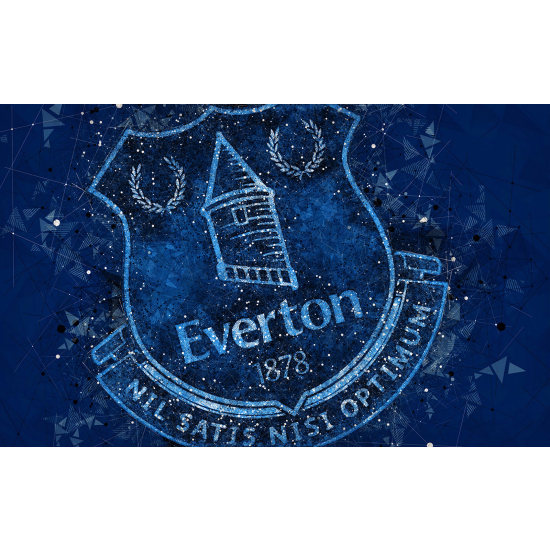 Carta da parati panoramica Calcio / Football - Everton