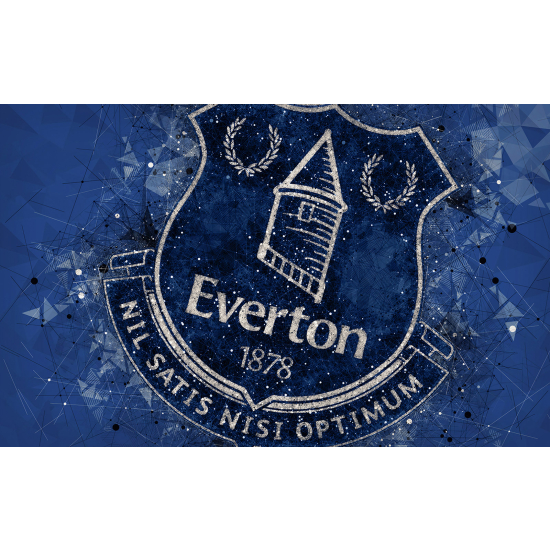 Carta da parati panoramica Calcio / Football - Everton