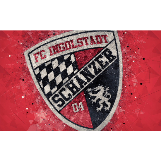 Carta da parati panoramica Calcio / Football - FC Ingolstadt - Schanzer