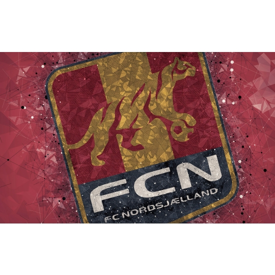 Carta da parati panoramica Calcio / Football - FCN