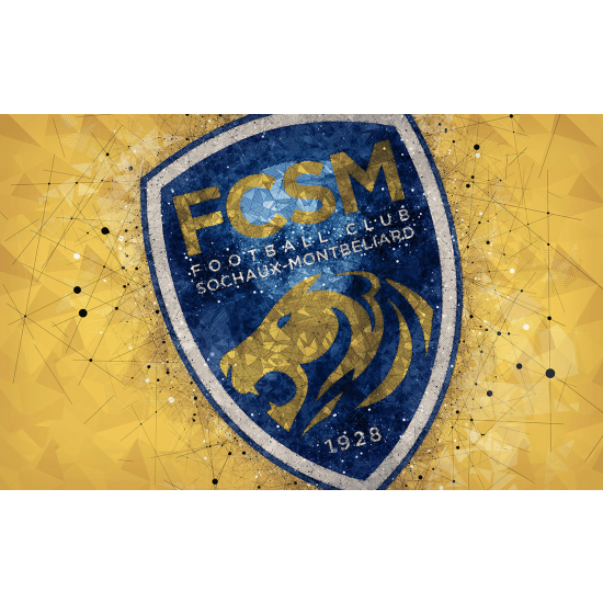 Carta da parati panoramica Calcio / Football - FCSM - Sochaux-Montbéliard